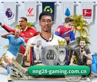 nng28-gaming.com.cn APP